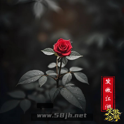 玫瑰逢春